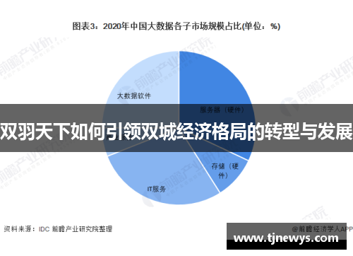 双羽天下如何引领双城经济格局的转型与发展